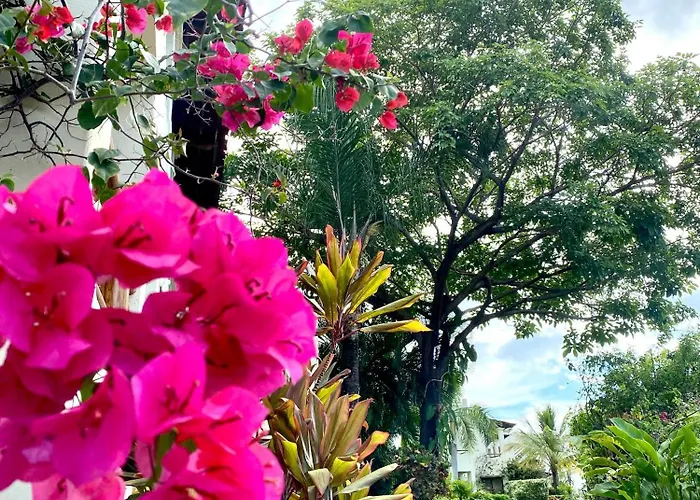 Coastal Breeze Retreat Coco